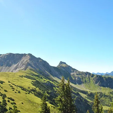 Allgaeu Huettenflair Bergblick